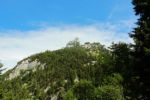 2014-07-05_Laengental-N-Hochweg (506). JPG